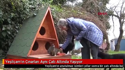 Yeşilçam'ın Çınarları Aynı Çatı Altında Yaşıyor