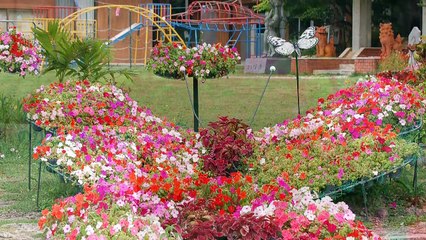 Rimi Natsukawa - 景色 -