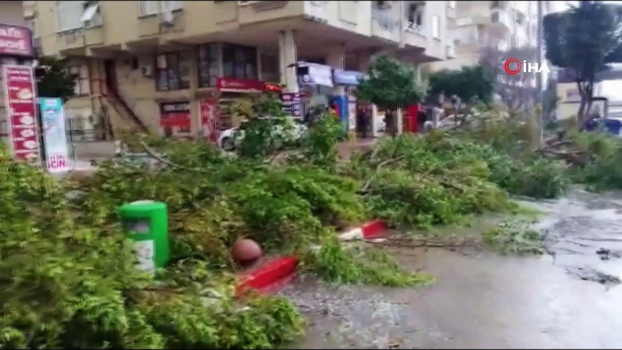 Fırtına ağaçları kökünden söktü, seyir halindeki otomobillerin üzerine devirdi