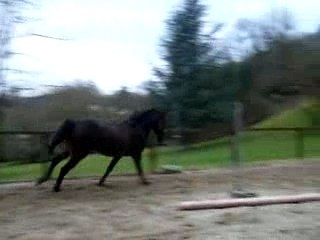 Croisillon de détente