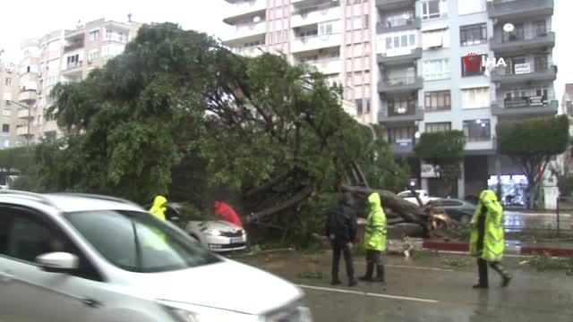 Fırtına Ağaçları Kökünden Söktü, Seyir Halindeki Otomobillerin Üzerine Devirdi