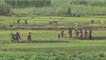 Le conflit entre le Burundi et le Rwanda affecte les agriculteurs