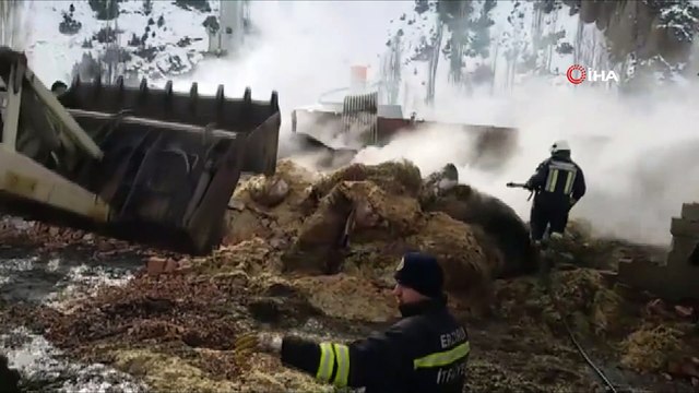 Erzurum'da ahır yangını...1 ev, 1 ahır ve 20 ton saman kül oldu