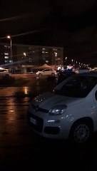 Bari San Paolo: enorme cinghiale in città