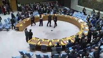 Birleşmiş Milletler Güvenlik Konseyi toplantısı - NEW YORK