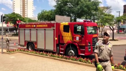 Bombeiros capturam macaco em agência bancária
