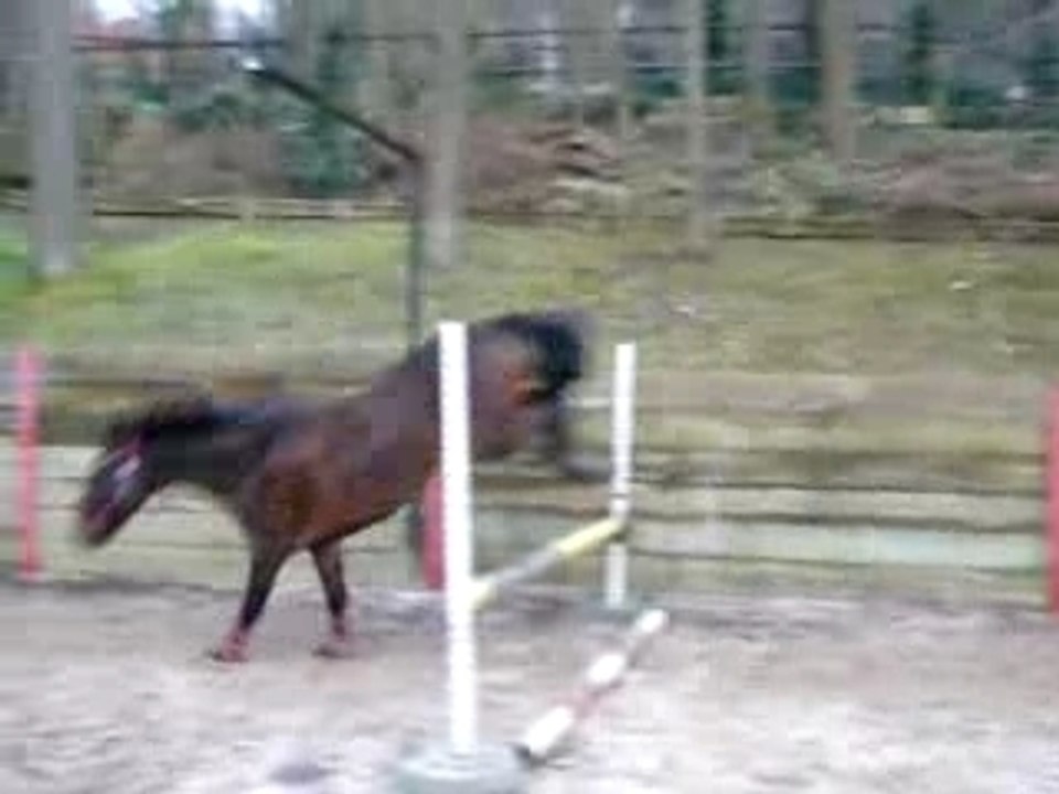 Saut un peu moche + chgt de direction soudain