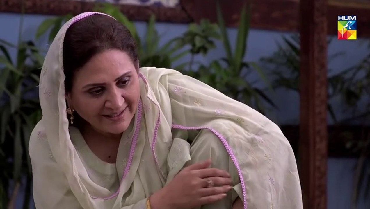 Ranjha Ranjha Kardi - Epi 13 - HUM TV Drama - 26 January 2019 - || Ranjha Ranjha Kardi (26/1/2019)