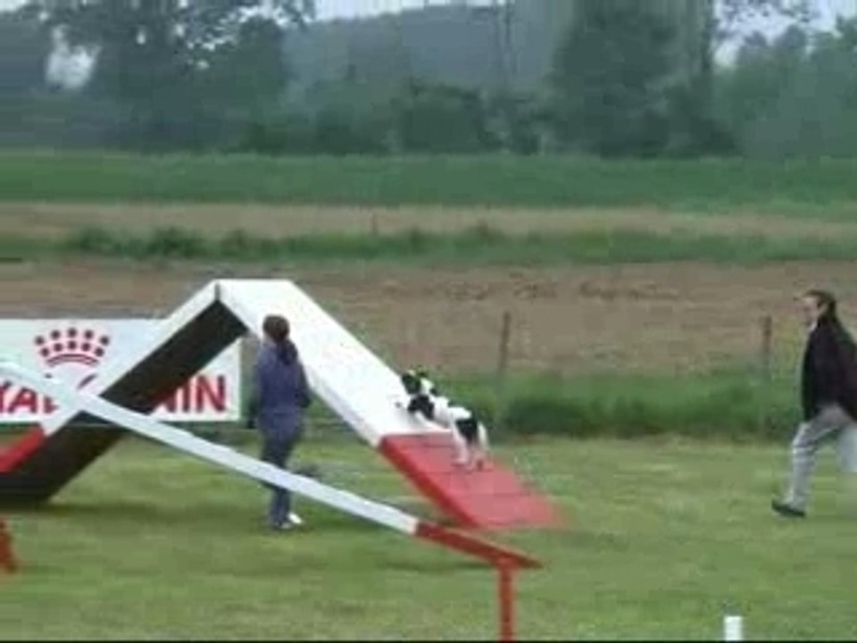 Udoline fait de l'agility