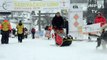 'No winners' as hundred mushers brave tough Czech sled dog race