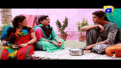 Kalmohi Episode 2 | Watch the Latest Drama on HAR PAL GEO 📺