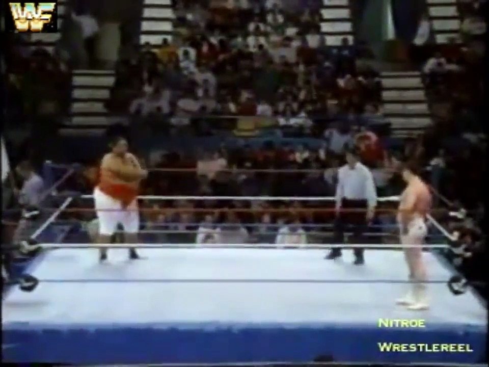 WWF Superstars 01-02-93-Segment 1