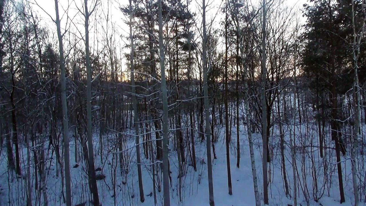 Jan 18 2019 DL1