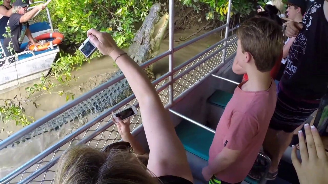 Voici Dominator, un des plus gros crocodiles sauvages de Floride...