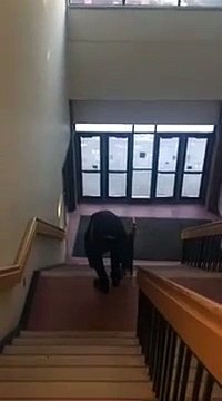 Petite glissade sur la rampe d'escalier... Et grosse gamelle