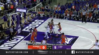 Florida vs. TCU Basketball Highlights (2018-19)