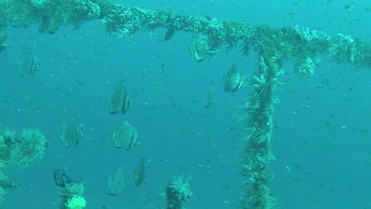 Puerto Galera Mindoro Island