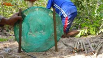 Primitive Technology - Easy Deep Hole Underground Python Snake Trap Using Nets Pure Made By Men