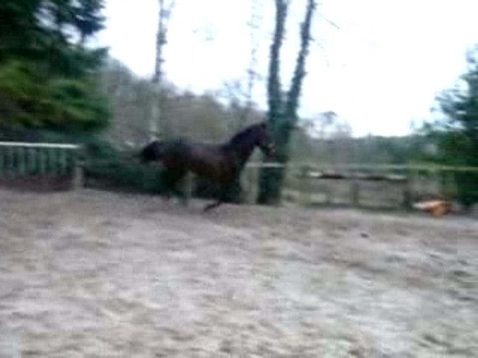 1,10 m avec un saut foireux