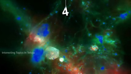 Facts about BIG BANG In తెలుగు  || Loyal Media