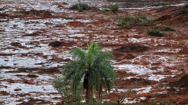 Прорыв дамбы в Бразилии: Они ждали, что это произойдет