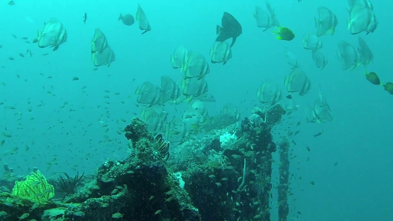 Puerto Galera Mindoro Island