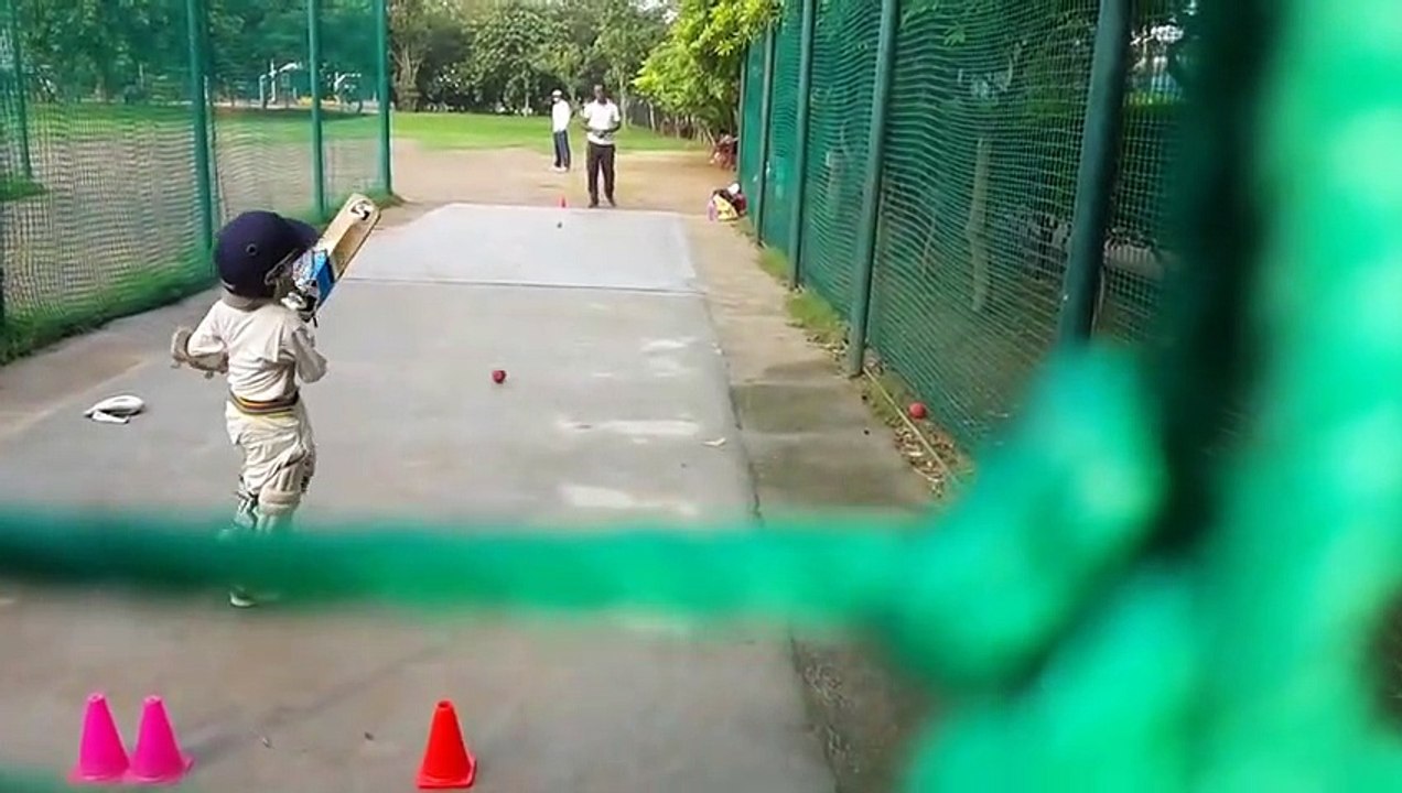 Cricket lover