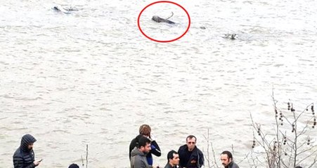 Çayda Cesedi Bulunan Kadının, Bir Süre Önce Boşandığı Ortaya Çıktı