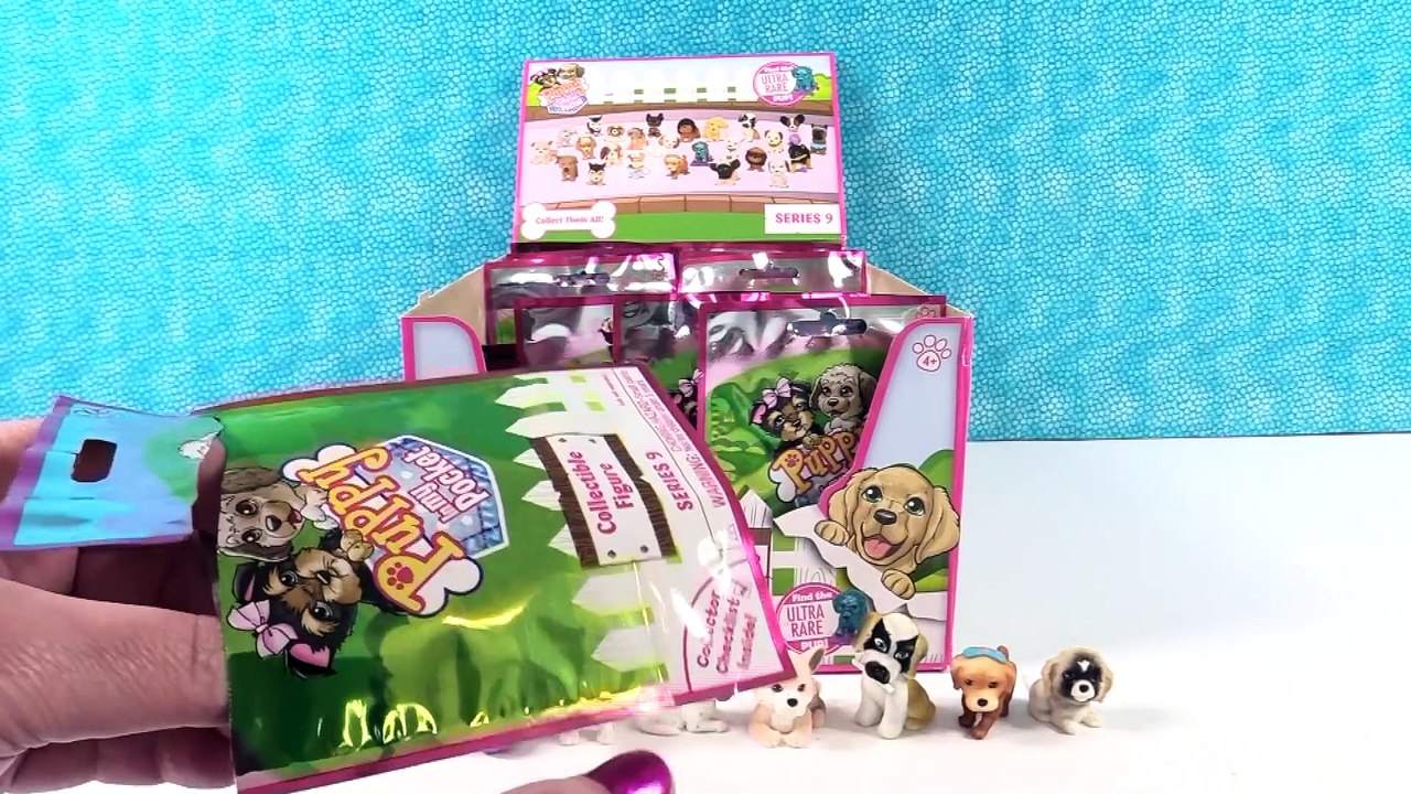 Puppy In My Pocket Series 9 Full Case Set Unboxing Toy Review _ PSToyReviews