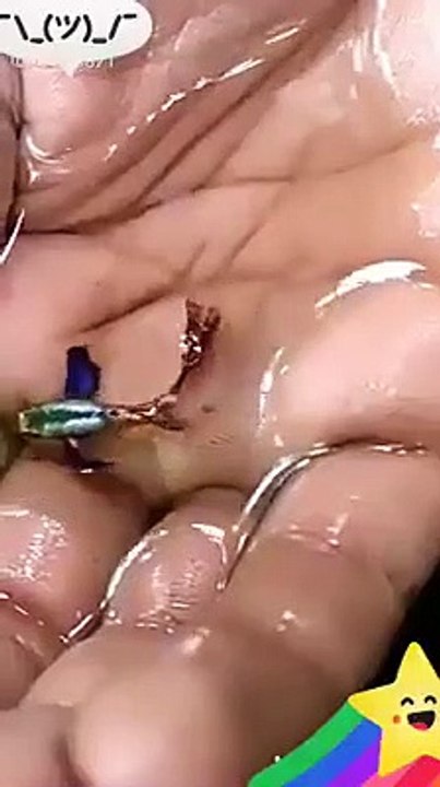 Subhan Allah a very tiny fish