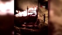 Oltu'da Ahır ve Merek Yangını.. 24 Büyükbaş Hayvan Son Anda Kurtarıldı