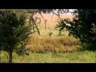 Never Give up- Inspirational video