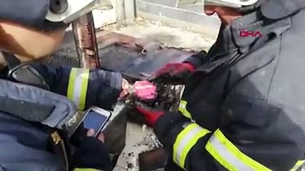 Babaannesini öldüren zanlının güvercinlerini yaktılar