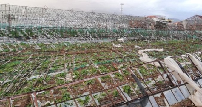 Son Dakika! Cumhurbaşkanı Erdoğan: Antalya'nın Zararı Yaklaşık 100 Milyon Lira, Gereği Neyse Yerine Getireceğiz