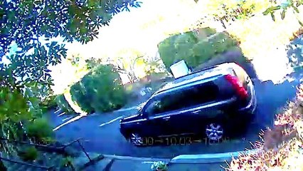 EDR January #27 2019 A Strange Car Goes Back And Forth