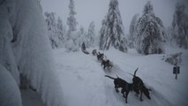 Una carrera de trineos tirados por perros pone a prueba la resistencia de sus participantes en República Checa