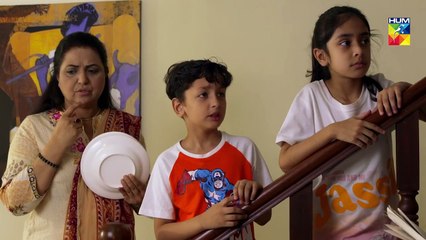 Tajdeed e Wafa Epi 19 HUM TV Drama 27 January 2019