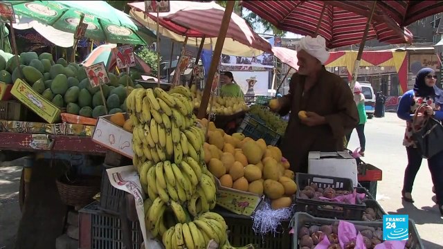 Visite de Macron en Égypte, allié essentiel au Moyen-Orient