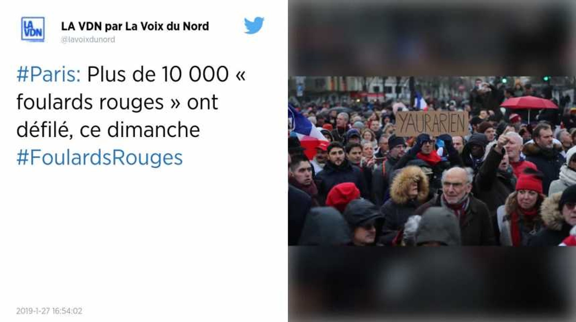 Foulards rouges. 10 500 personnes à la « marche républicaine des libertés »  à Paris - Vidéo Dailymotion