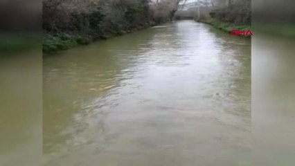 Muğla Göle Dönen Yayladaki Hayvanları İtfaiye Kurtardı