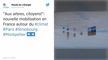 Marche pour le climat. Des dizaines de milliers de personnes manifestent en Europe