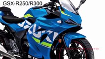Top 5 Best Motorcycle  250cc/300cc New Model 2019 CBR250RR, GSX R250, Demon 250R, R25, Ninja 250R 1