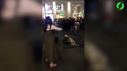 Chien et violoniste : joli duo de musiciens