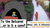 Did Trump cave? -Walkies with Abby