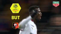 But Mbaye NIANG (28ème) / Paris Saint-Germain - Stade Rennais FC - (4-1) - (PARIS-SRFC) / 2018-19