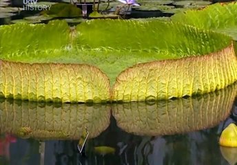 What The Victorians Did For Us 6of8 Conquerors