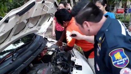 Kitten Rescued From Car Engine In Thailand