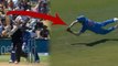 Ind Vs NZ 3rd ODI: Hardik Pandya takes a flying Catch to dismiss Kane Williamson |वनइंडिया हिंदी