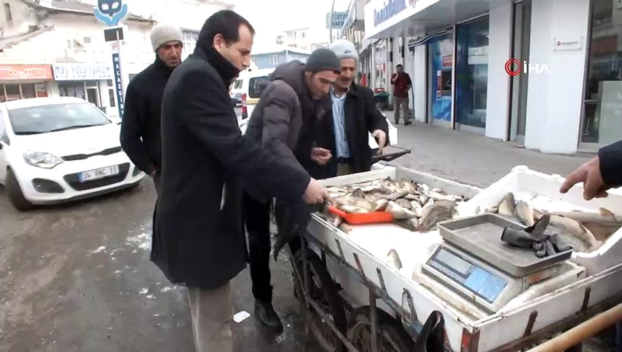 Sokak hayvanlarının umudu balıkçı esnafı oldu