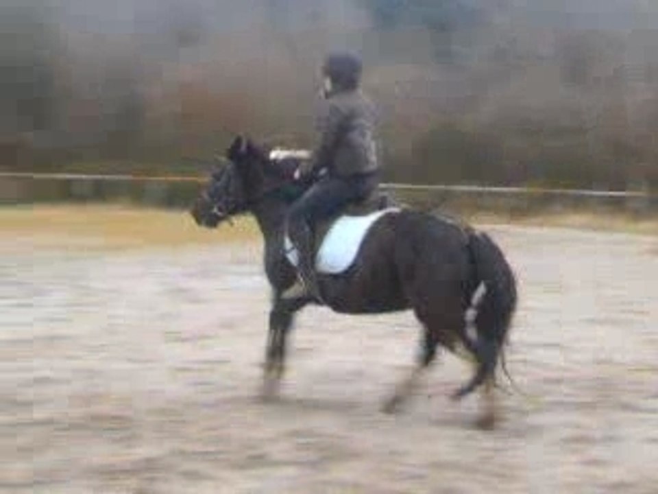 mwa et harmonie